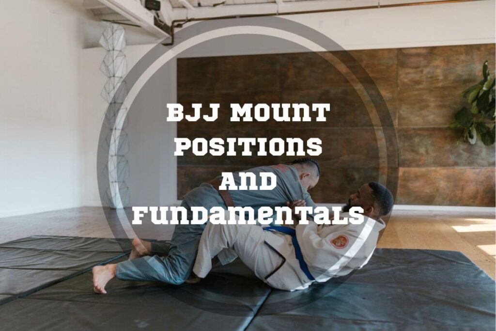 Types of mount positions in Brazilian Jiu-Jitsu (BJJ)