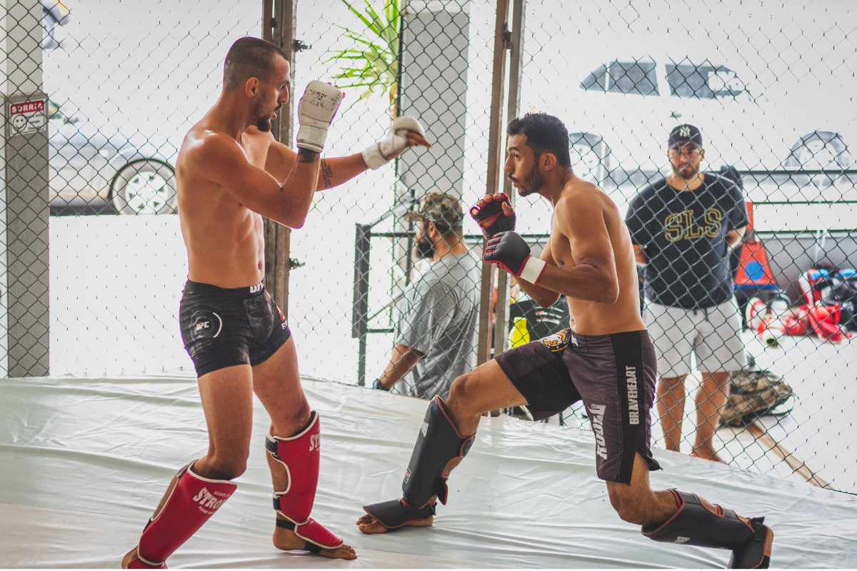 MMA fighters showcase their skills in the ring